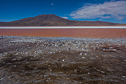 玻利维亚乌尤尼红湖