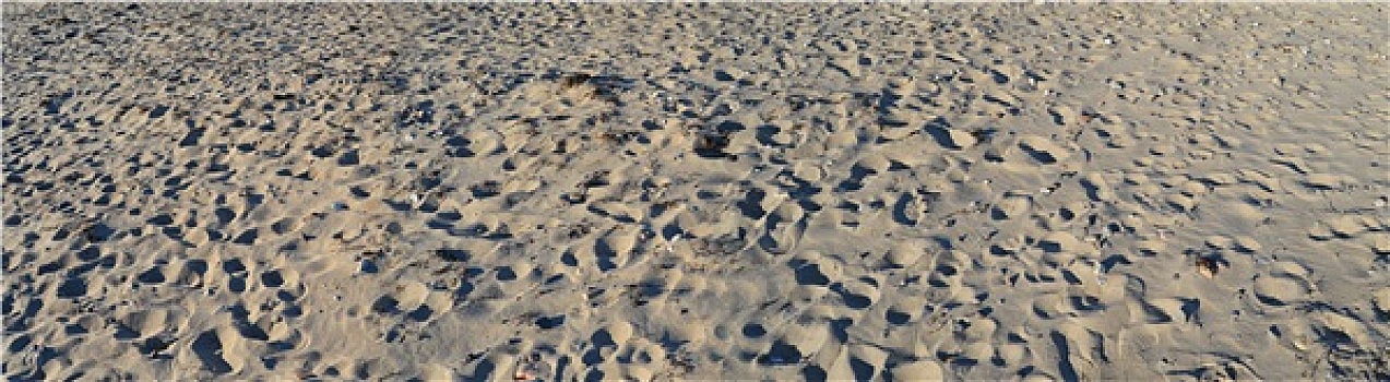 沙子,小路,海滩