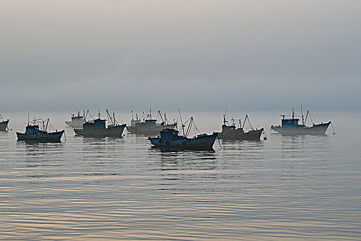 海港,渔船,海滨