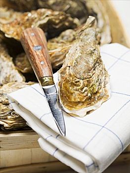 牡蛎,木篮,茶巾,刀
