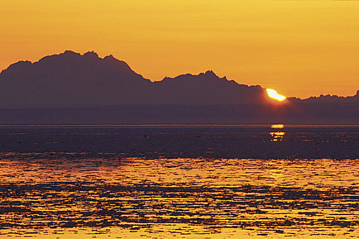 日落,上方,库克海峡,春天
