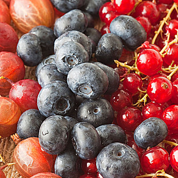 夏天,浆果,红色,醋栗,蓝莓,特写