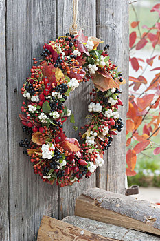 浆果,叶子,花环,木板墙