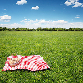 草地野餐