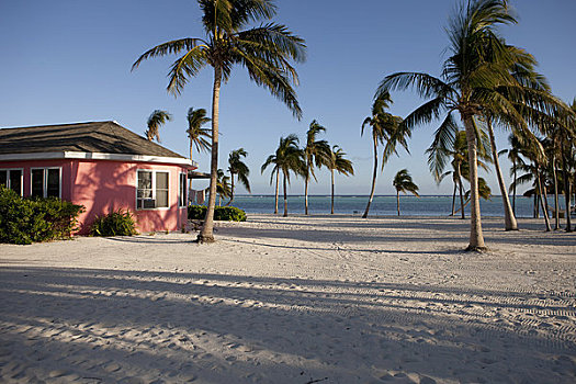 房子,海滩,开曼群岛