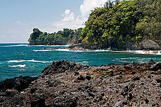 岩石构造,海岸,夏威夷热带植物园,夏威夷大岛,夏威夷,美国