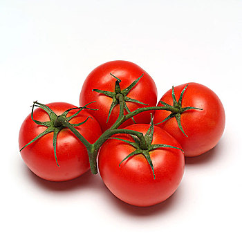 四个,西红柿茎