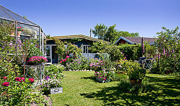 温室,斯堪的纳维亚,夏天,房子,花,花园,蓝天
