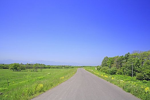 道路,河边