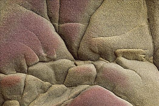 砂岩,加利福尼亚