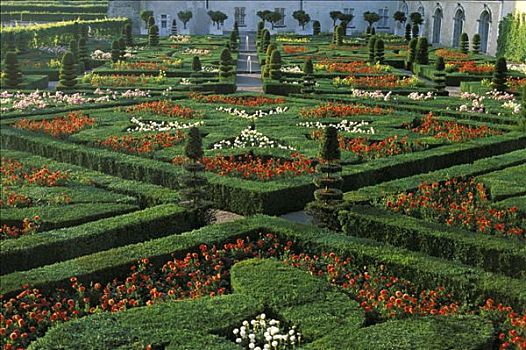 维朗德里城堡,法国,花园,郁金香,盒子