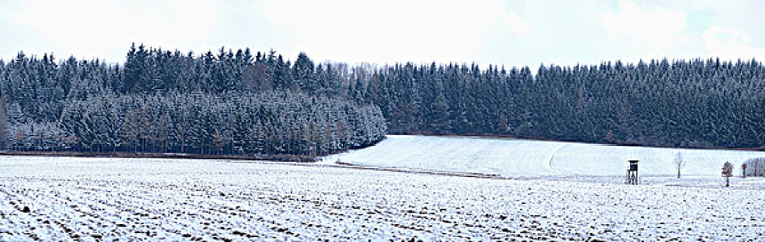冬季风景,树林,地点,普拉蒂纳特,巴伐利亚,德国