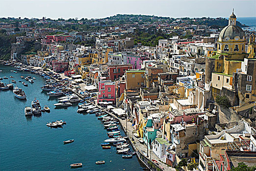 彩色,房子,捕鱼,港口,岛屿,那不勒斯湾,坎帕尼亚区,意大利南部,欧洲