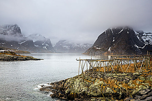 雾状,寒冷,崎岖,山,河,罗弗敦群岛,挪威