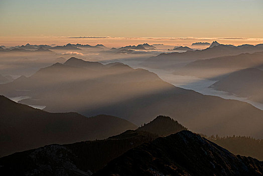 风景,山,清晨,上方,山谷,山脉,巴伐利亚阿尔卑斯山,巴伐利亚,德国