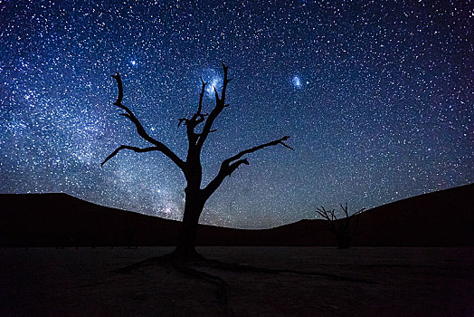 枯木,正面,星空,银河,死亡谷,索苏维来地区,纳米比亚,非洲