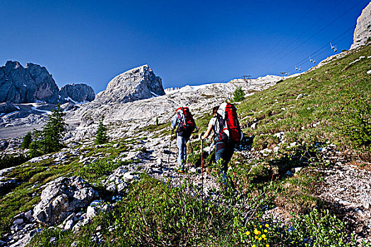 登山者,攀登,马尔莫拉达峰,意大利,山,白云岩,固定,绳索,路线,背影,省,欧洲