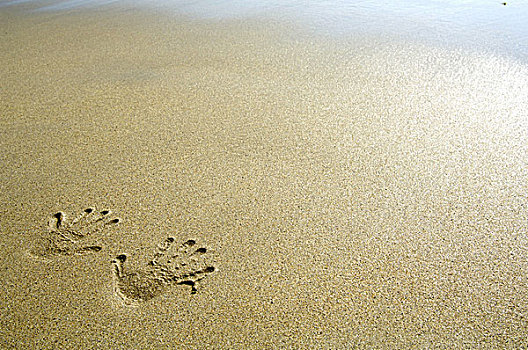沙滩,序列,海滩,沙子,地面,手掌,轨迹,短暂,概念,度假
