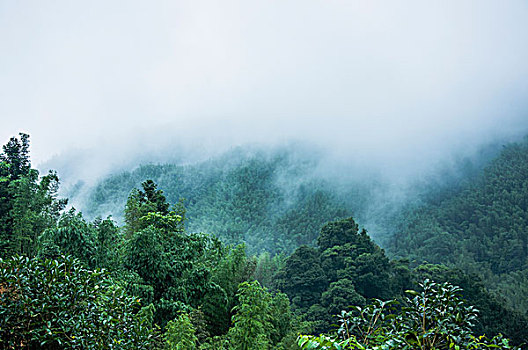 雨雾山景