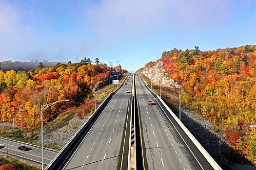 道路