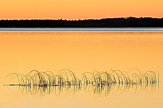 清晰,湖,日出,赖丁山国家公园,曼尼托巴,加拿大