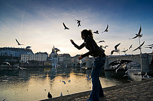 年轻,女人,喂食,海鸥,莱茵河,河,后面,老,城镇,巴塞尔,瑞士,欧洲