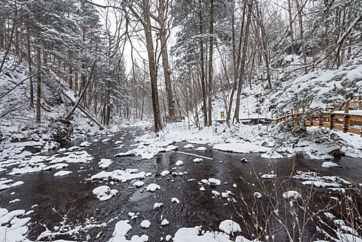 冬季长白山的雪地树林冰河