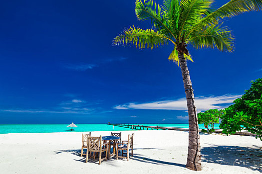 桌子,椅子,影子,棕榈树,热带海岛