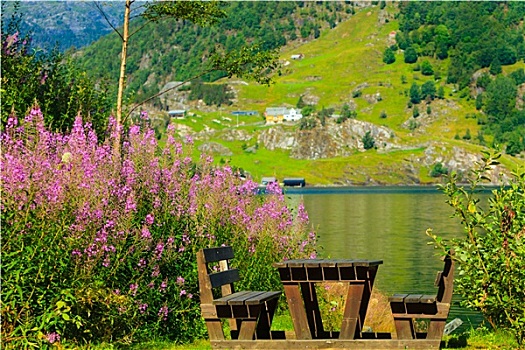 野餐桌,长椅,靠近,湖,挪威,欧洲