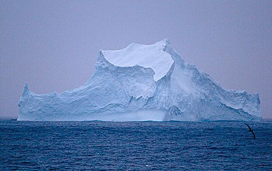 冰山,浮冰,南大洋,英里,北方,东方,南极