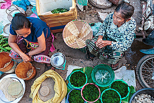 市场,女人,销售,河,藻类,万象,老挝