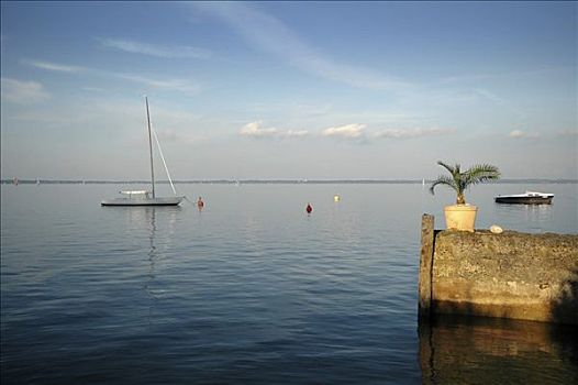 帆船,棕榈树,湖,基姆湖,巴伐利亚,德国