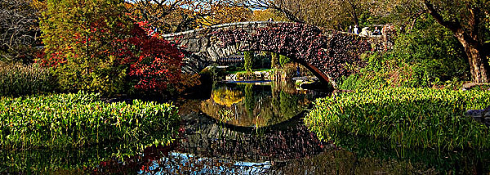 反射,树,水中,中央公园,曼哈顿,纽约,美国