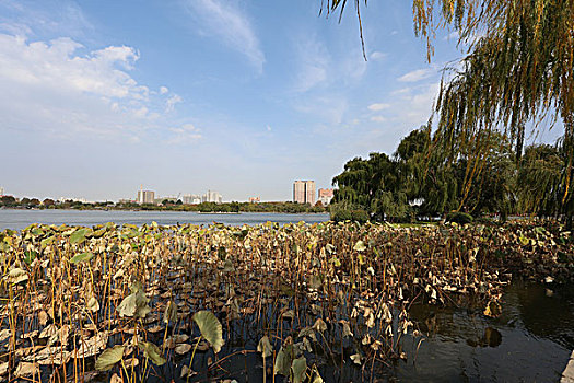 湖面风景