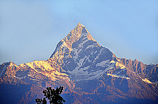 尼泊尔,波卡拉,喜马拉雅山,上方,站立