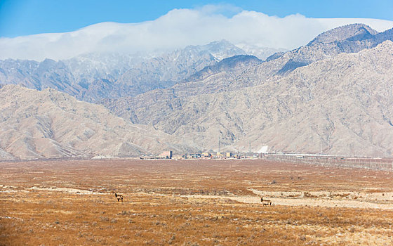 贺兰山风光,贺兰山国家自然保护区