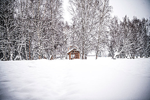 冬天,雪地,树林,木屋
