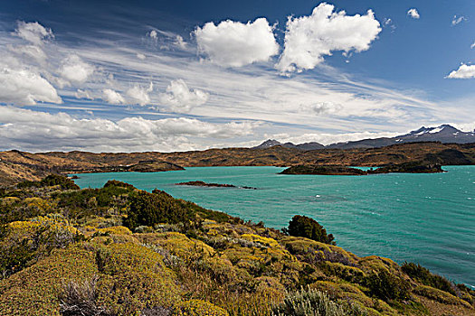 智利,麦哲伦省,区域,托雷德裴恩国家公园,拉哥裴赫湖,风景