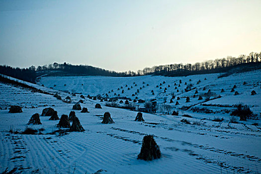 雪野,北方,东北,大雪,原野,土地,冬季,洁白,干净,风景,村庄,农村