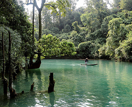 小七孙美景