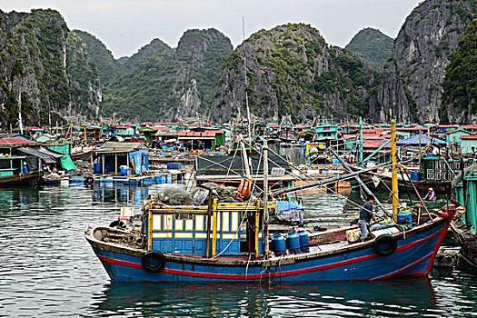 越南,岛屿,下龙湾,渔船,漂浮,乡村,大幅,尺寸