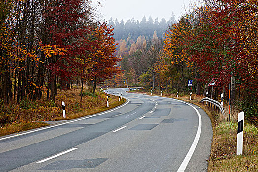 街道,秋天,哈尔茨山,树,彩色,叶子