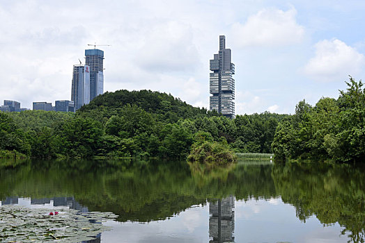 湖光山色与高楼倒影