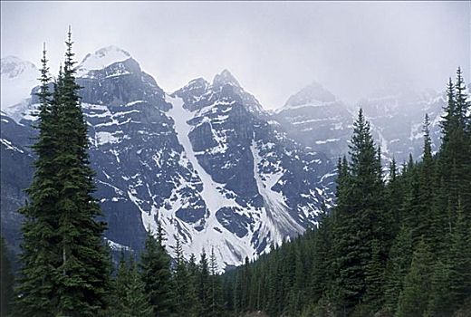 山谷,十峰谷,班芙国家公园,艾伯塔省,加拿大