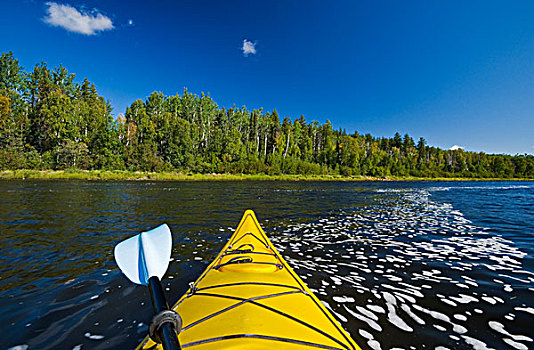 漂流,清水,河,省立公园,北方,萨斯喀彻温,加拿大