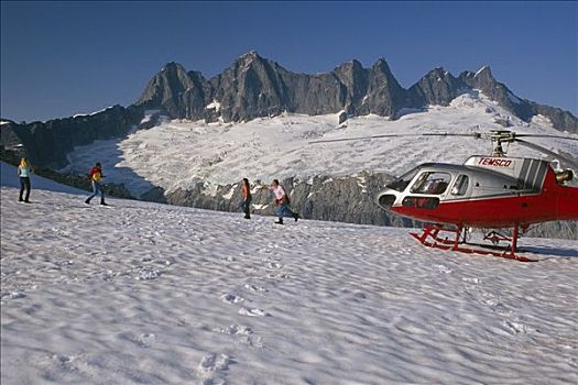 游人,享受,打雪仗,直升飞机,旅游,棉田豪冰河
