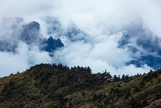 神农架,神农顶,风景,景点,旅游,高山,瀑布,河流,神秘,树木,植被,石头,鄂西,云海,峡谷,壮观