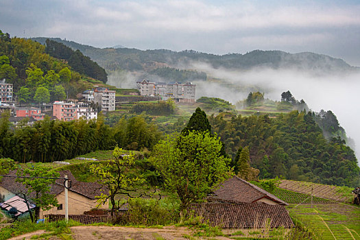 遂昌南尖岩田园风光