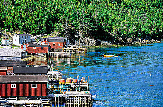 码头,港口,随机性,岛屿,纽芬兰,加拿大