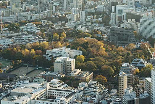 日本东京市区俯瞰